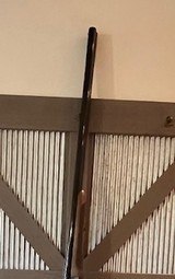 CZ Bob White, 20 gauge, case color, engraved - 3 of 15