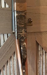 CZ Bob White, 20 gauge, case color, engraved - 8 of 15