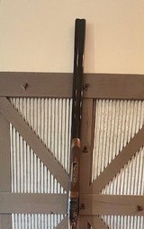 CZ Bob White, 20 gauge, case color, engraved - 7 of 15