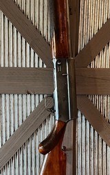 1940-1945 Browning A5 Semi Auto 12 gauge - 6 of 15