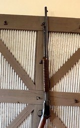 Beautiful Winchester 62a pump action 22LR 1958 - 4 of 12