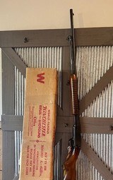 1962 Winchester 61 Time capsule in box, papers, hang tag, 22LR - 6 of 13