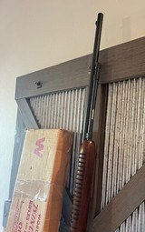 1962 Winchester 61 Time capsule in box, papers, hang tag, 22LR - 5 of 13