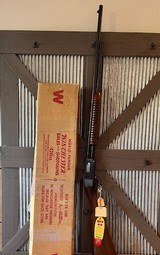 1962 Winchester 61 Time capsule in box, papers, hang tag, 22LR - 1 of 13