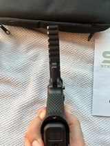 Stealth Arms Custom Platypus with New Holosun - 7 of 11