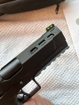 Stealth Arms Custom Platypus with New Holosun - 9 of 11