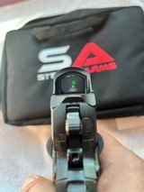 Stealth Arms Custom Platypus with New Holosun - 10 of 11