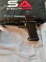 Stealth Arms Custom Platypus with New Holosun - 2 of 11