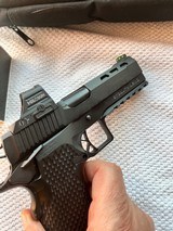 Stealth Arms Custom Platypus with New Holosun - 5 of 11