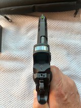 Stealth Arms Custom Platypus with New Holosun - 6 of 11