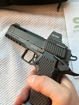 Stealth Arms Custom Platypus with New Holosun - 4 of 11