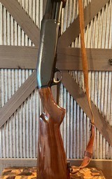 Browning BPS 10 Gauge, Buck Special, pump action - 2 of 15