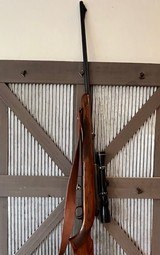 1960 Winchester Model 70, original, 264 Win, Leupold - 5 of 15