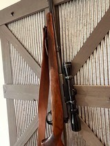 1960 Winchester Model 70, original, 264 Win, Leupold - 7 of 15