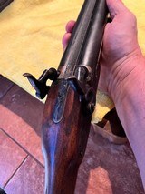 Made in Spain Double barrel 12 gauge black powder SXS - 9 of 14