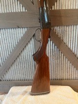 Savage Fox Model B, 12 gauge SXS case colors - 7 of 13