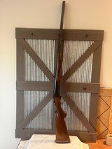 Savage Fox Model B, 12 gauge SXS case colors - 1 of 13