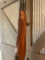 Savage Fox Model B, 12 gauge SXS case colors - 5 of 13