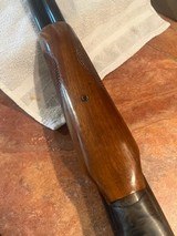 Savage Fox Model B, 12 gauge SXS case colors - 11 of 13