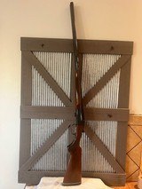 Savage Fox Model B, 12 gauge SXS case colors - 6 of 13