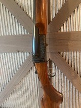 Savage Fox Model B, 12 gauge SXS case colors - 3 of 13