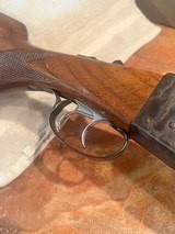 Savage Fox Model B, 12 gauge SXS case colors - 13 of 13