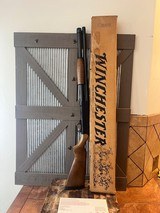 Winchester Defender in box, wood, 17 inch barrel - 1 of 13