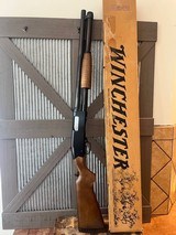 Winchester Defender in box, wood, 17 inch barrel - 6 of 13