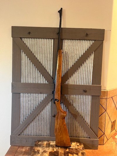 Remington 789 bolt action in .223 REM nice!