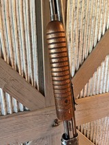 1946 Winchester 62, excellent shooter - 8 of 18