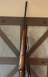Winchester Model 70 in 7mm REM Mag