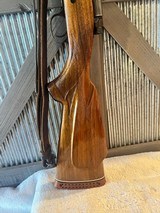 Winchester Model 70 in 7mm REM Mag - 9 of 19