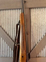 Winchester Model 70 in 7mm REM Mag - 11 of 19