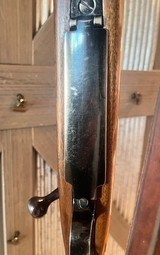 Winchester Model 70 in 7mm REM Mag - 7 of 19