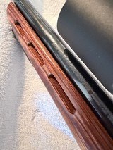 Savage 25 Bolt Action in 204 Ruger, Sightmark scope - 11 of 14