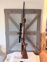 Savage 25 Bolt Action in 204 Ruger, Sightmark scope