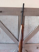 Ruger MK77 22LR - 4 of 18