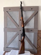 Remington 572 Deluxe 22LR pump action - 1 of 13