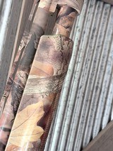 Charles Daly National Wild Turkey Federation 20 gauge - 4 of 12