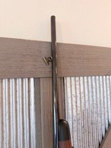 Ruger M77 Mark II in 257 Robert’s Mint condition - 11 of 17