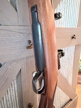Ruger M77 Mark II in 257 Robert’s Mint condition - 6 of 17