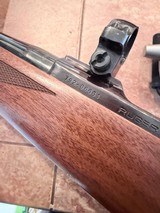 Ruger M77 Mark II in 257 Robert’s Mint condition - 17 of 17