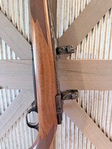 Ruger M77 Mark II in 257 Robert’s Mint condition - 3 of 17