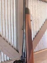 Ruger M77 Mark II in 257 Robert’s Mint condition - 10 of 17