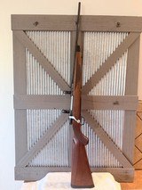 Ruger M77 Mark II in 257 Robert’s Mint condition - 7 of 17