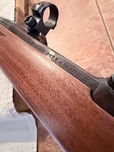 Ruger M77 Mark II in 257 Robert’s Mint condition - 12 of 17