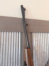 Beautiful Remington 700 in 243 Winchester - 11 of 16