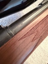 Beautiful Remington 700 in 243 Winchester - 15 of 16