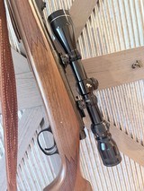 Beautiful Remington 700 in 243 Winchester - 8 of 16