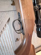 Beautiful Remington 700 in 243 Winchester - 9 of 16